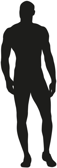 silhouette-2 silhouette-2